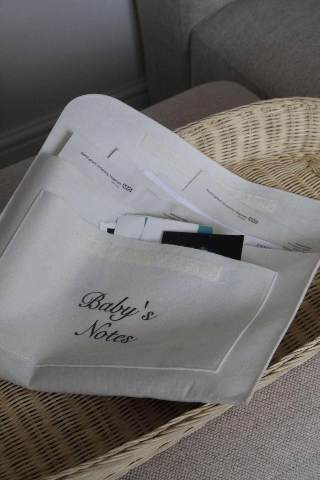 Baby’s Notes Folder PRE-ORDER