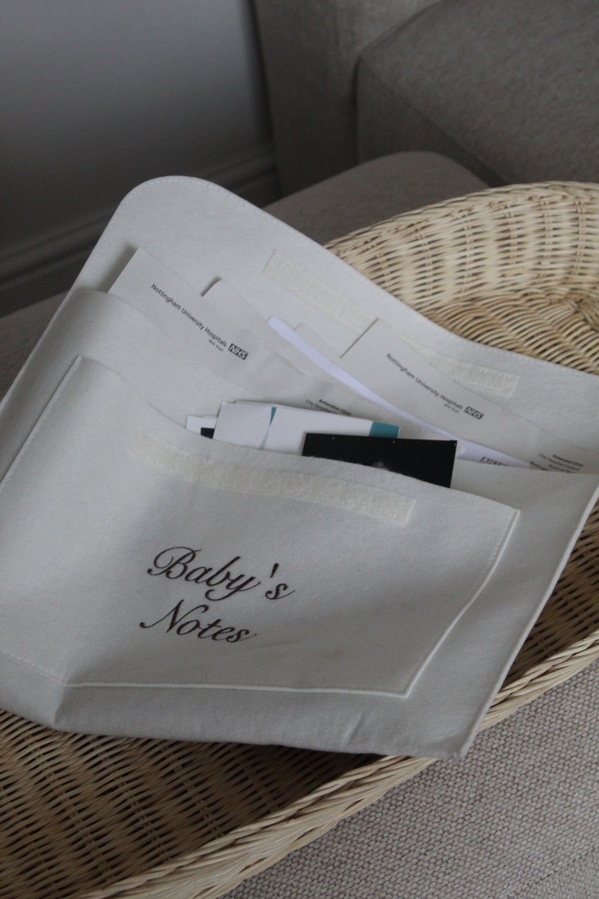 Baby’s Notes Folder PRE-ORDER